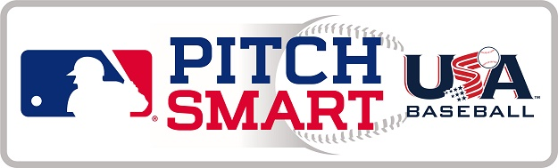 MLB & USA Baseball logo